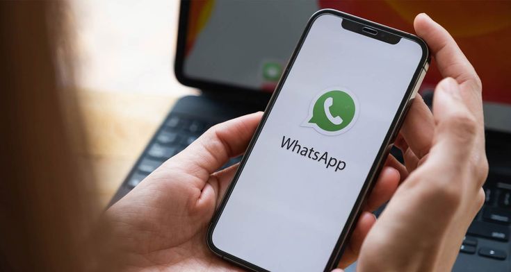 Step 01 WhatsApp Consultation